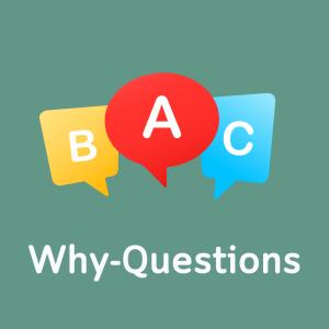 Why-Questions